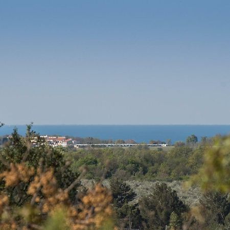 Apartment Bruneta 1 With Sea View Tar-Vabriga エクステリア 写真